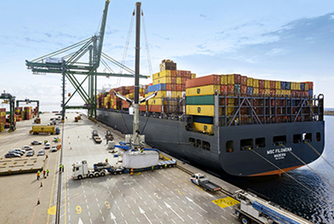 MSC bekommt Auszeichnung 