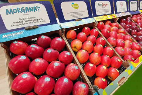Italien: Neue Melinda-Sorten - erste Ergebnisse sind hervorragend