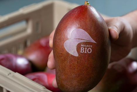 Migros setzt auf Laserbranding: Bio-Logo auf Mango's