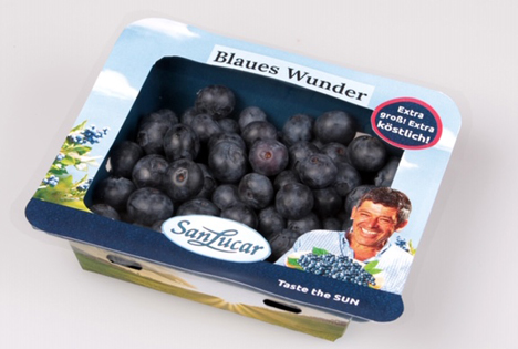 Natur-Schale: Innovative und Nachhaltige Verpackung für Beeren. Foto © SanLucar