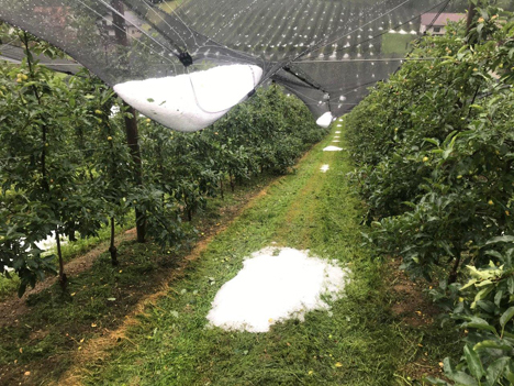 Obst Netz Markt Hartmannsdorf. Foto © Österreichische Hagelversicherung