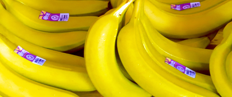 ONE Banana ist Bio. (Photo: Business Wire)