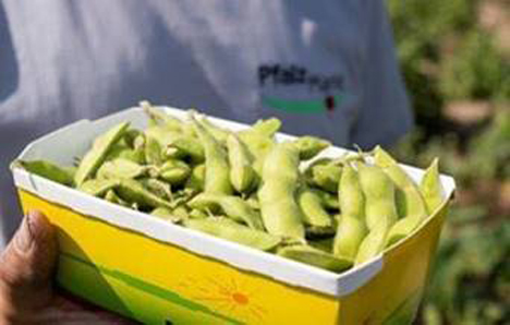 Foto © Pfalzmarkt eG Edamame