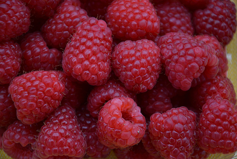 Himbeeren Foto © Sabine Weis