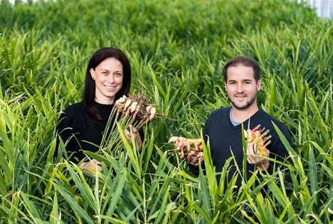 Foto © SPAR /Foto Krug