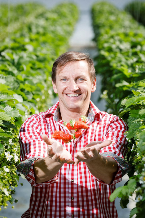 Die Familie von Markus Gutmann baut bereits seit rund 50 Jahren steirische Erdbeeren an. Foto © SPAR honorarfrei@Foto Luef