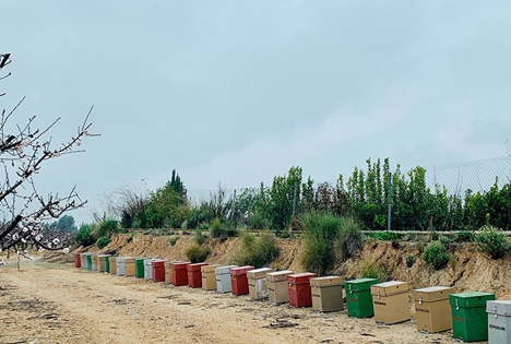 Foto © SanLucar