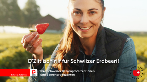 Foto © Schweizer Obstverband