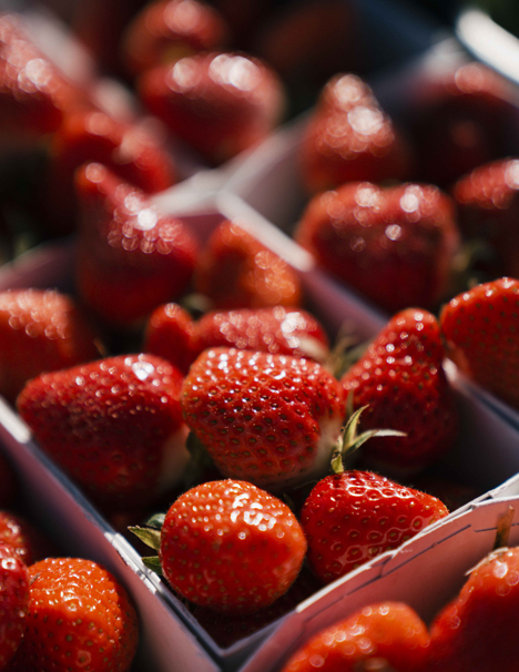 Erdbeeren Foto © SOV