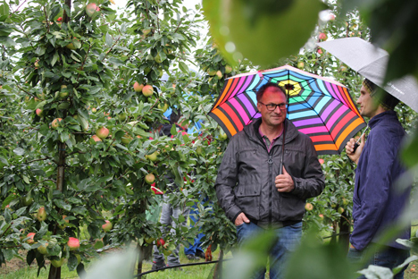 Foto Erntebegehung am Bodensee