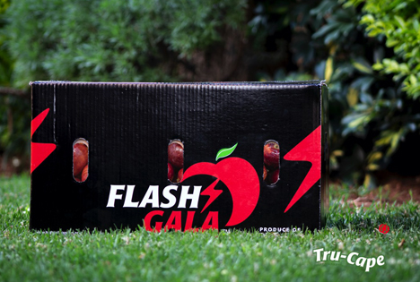 Rote Bigbucks-Äpfel Flash Gala™. Foto © TruCape