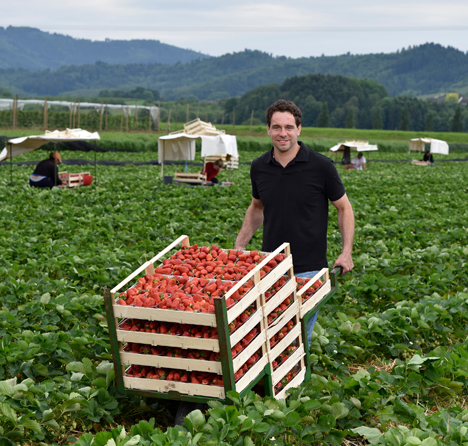 Foto © bwgv-Werbefonds Obst, Gemüse, Gartenbau