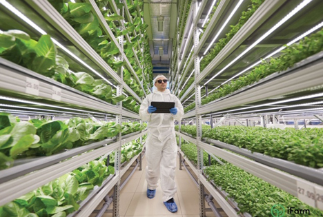 fenaco und YASAI investieren in Vertical Farming