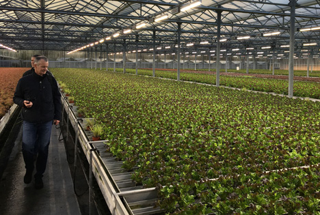 Fluence expandiert in der Region EMEA: neue Gartenbaupartner in Papenburg, Deutschland