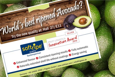 Frigotec's Softripe® stellt neue Avocado-Reife-Qualität vor