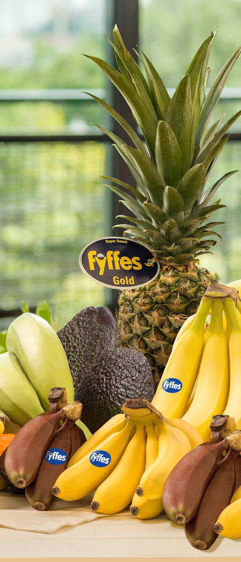 Fyffes Foto