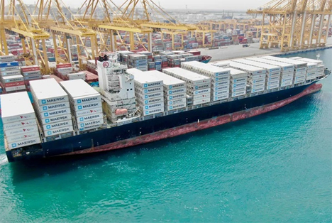 Maersk bringt über 700 Kühlcontainer zur Unterstützung der südafrikanischen Zitrussaison