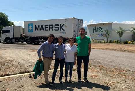 Maersk-Kühlcontainer transport: Avocados schreiben in Kolumbien Geschichte