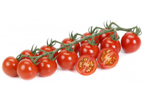 Rijk Zwaan Kirschtomate Reddery: 