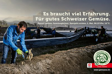 Es braucht ein Team für gutes Schweizer Gemüse