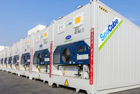 SeaCube Containers LLC. Zu sehen sind PrimeLINE ONE™-Kühlcontainer. Foto © Carrier Transicold