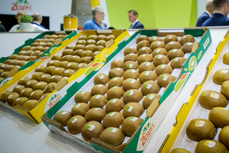 Zespri stellt bis 2025 komplett auf nachhaltige Verpackungen um