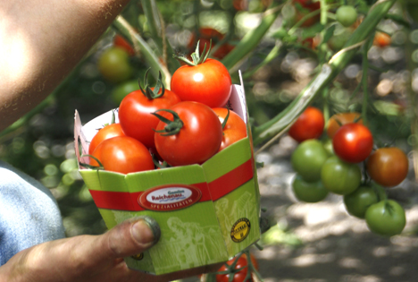BWGV: Corona hat die Wertschätzung für die heimische Landwirtschaft gesteigert