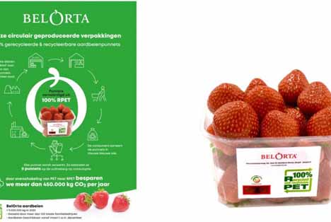 BelOrta führt Tray2Tray-Schalen aus recycelten Rohmaterialien (und zu 100% recycelbar) ein