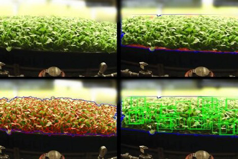 AeroFarms – Nokia-Partnerschaft für nächste Generation von Pflanzenbildgebungstechnologie dank KI