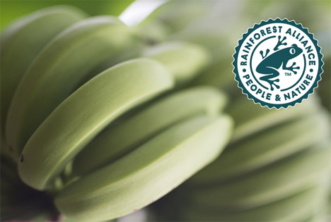 Fyffes Bananenfarm erhält als erste weltweit neue Zertifizierung der Rainforest Alliance