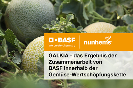 Die Kombination von Farbe, Geschmack und Aroma in einer perfekten Melone sorgt fü eine nachhaltigere Ernte. Foto © BASF