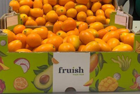 Agroponiente führt exotische Fruchtmarke 