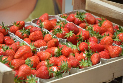 Hessische Erdbeeren. Foto © HMUKLV