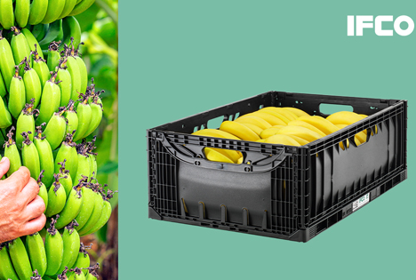 Neue IFCO Lift Lock Mehrwegbehälter für Bananen bieten zusätzliche Vorteile für den Transport