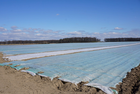 Foto © Burgdorf/LWK Niedersachsen