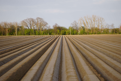 Foto © Burgdorf/LWK Niedersachsen