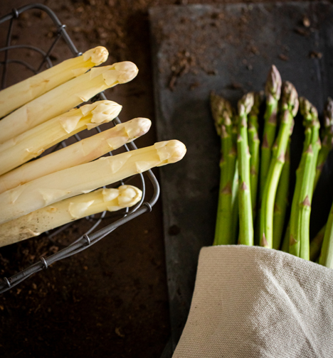 Landgard Spargel: ©Landgard / 1000 gute Gründe