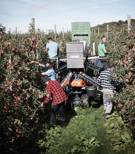 Foto © Obst vom Bodensee Vertriebsgesellschaft mbH