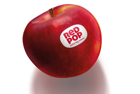 RedPop Apfel® Foto © CIV