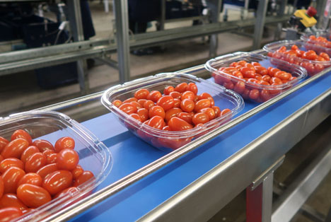 RedStar reduziert Plastikverpackung
