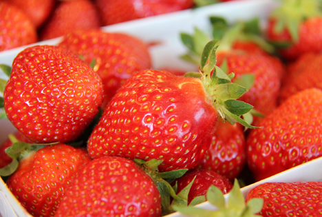 Schweizer Erdbeeren: Das Warten hat ein Ende