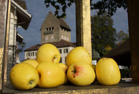 Usteräpfel Fructus. Foto © Franziska Oertli /Fructus