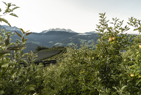 VOG als Mitgestalter von sustainapple, der Nachhaltigkeitsstrategie des Südtiroler Apfelkonsortiums
