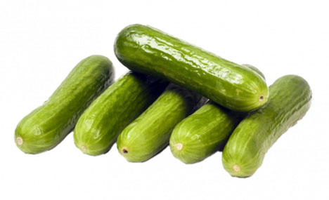 Crunchy Kings mini-cucumbers. Foto © BelOrta