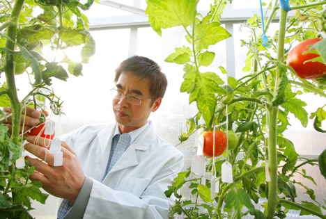 Wissenschaftler entschlüsseln Potential für 