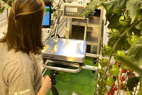 Starke Innovationspipeline von BASF für die Landwirtschaft