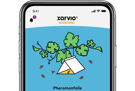 BASF xarvio® SCOUTING führt neue Funktion zur präzisen Analyse von Pheromonfallen ein