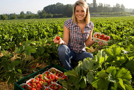 Quelle: BWGV-Werbefonds Obst, Gemüse, Gartenbau