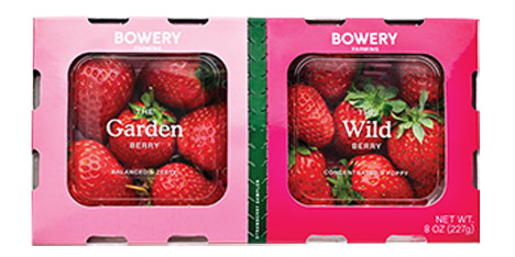 Bowery Erdbeer-Duo-Pack. Foto © Bowery Farming