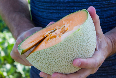 Foto © Business Wire/California Cantaloupe Advisory Board